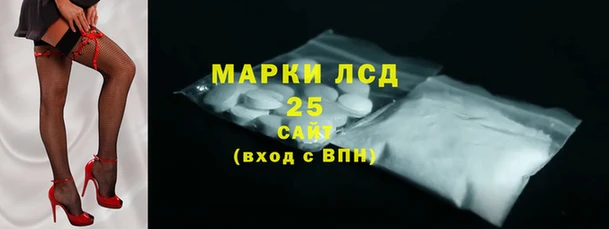 PSILOCYBIN Аркадак