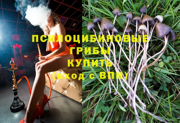 экстази Алексеевка