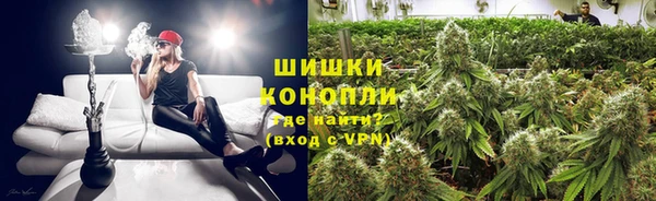 PSILOCYBIN Аркадак
